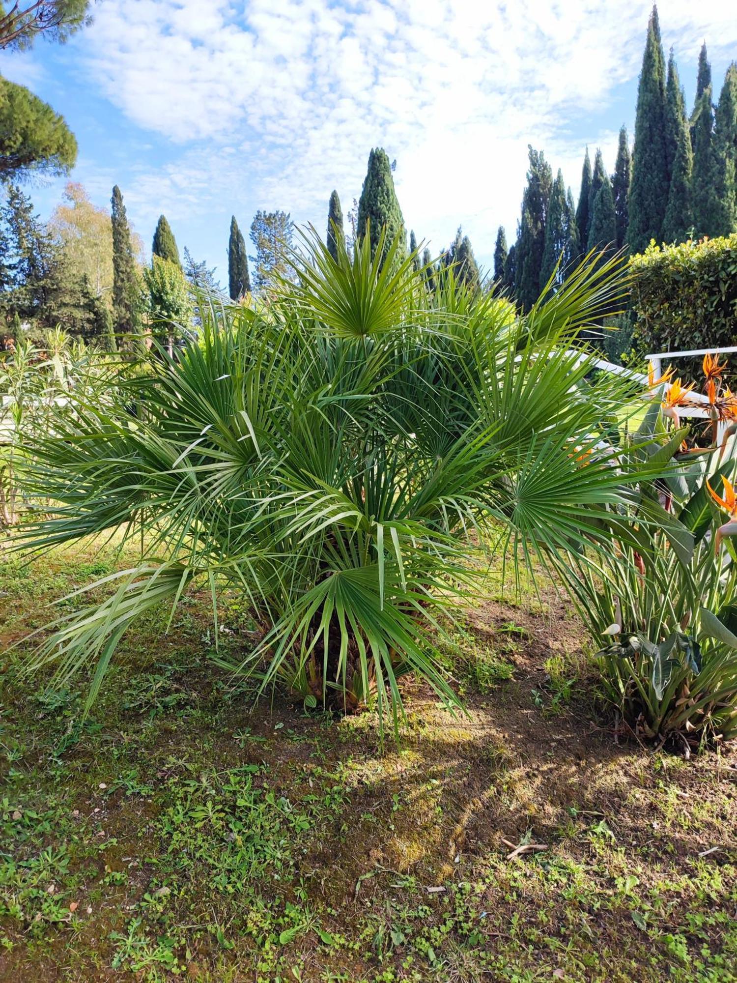 Green Nest Rome Buitenkant foto